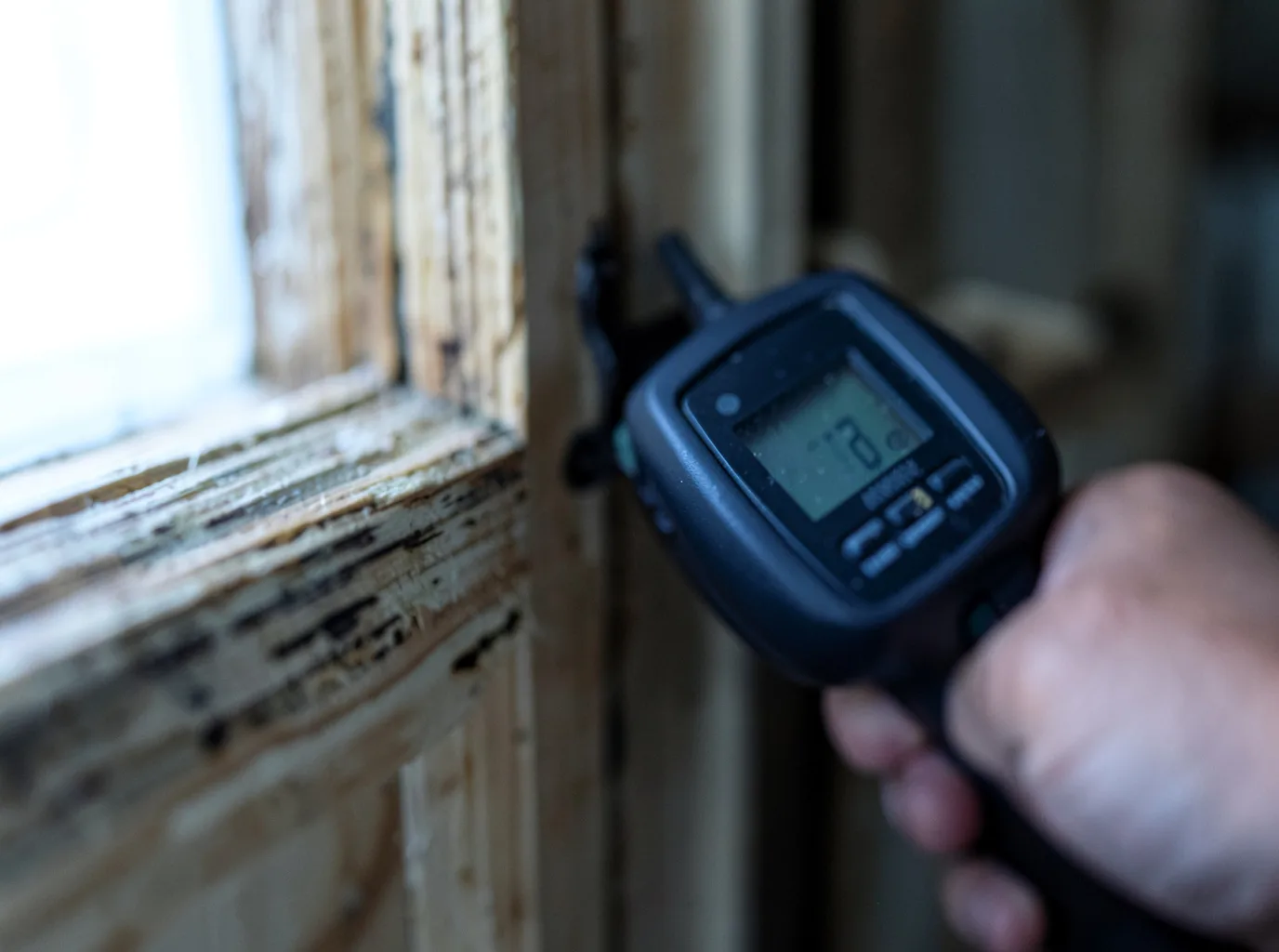 Moisture Inspection And Documentation in Salamonia, IN